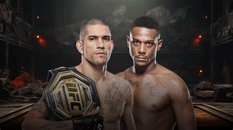 ufc odds bovada